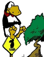 Always watch for penquin crossings.